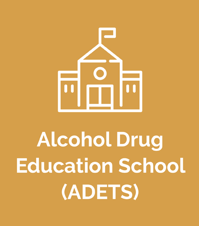 Alcohol Drug Education School