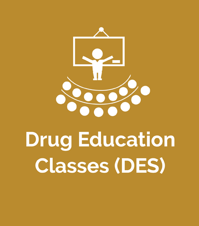 Drug Education Classes (DES)