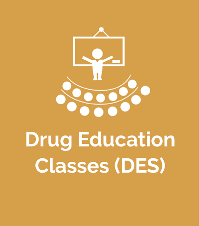 Drug Education Classes (DES)