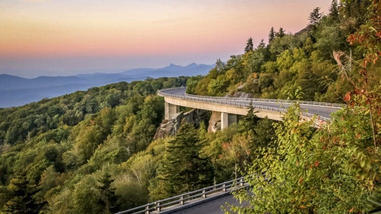 Absolute Advocacy’s Online DWI Services