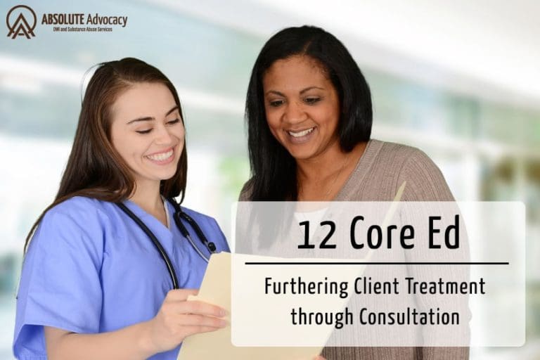 12 Core Functions: Furthering Client Treatment through Consultation