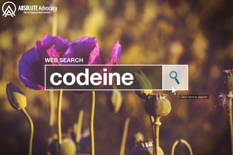 What Is Codeine?