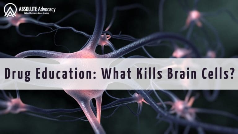 Drug Education: What Kills Brain Cells?