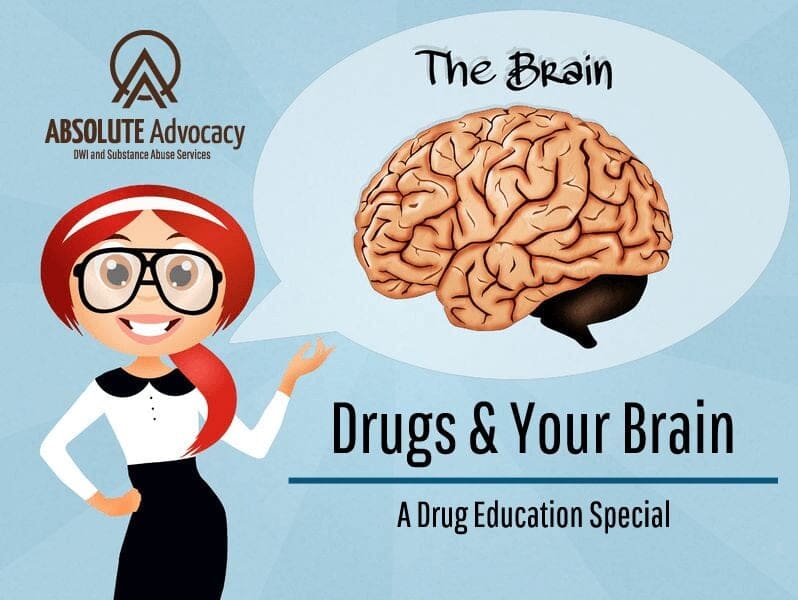 Drug Education: Drugs and Your Brain