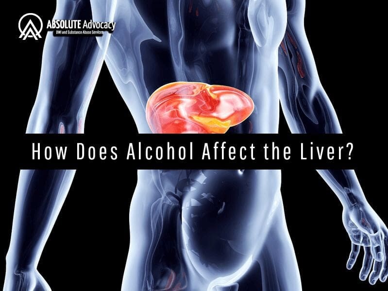 How Does Alcohol Affect the Liver?