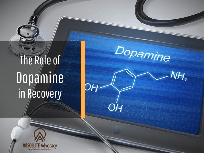 The Role of Dopamine in Recovery